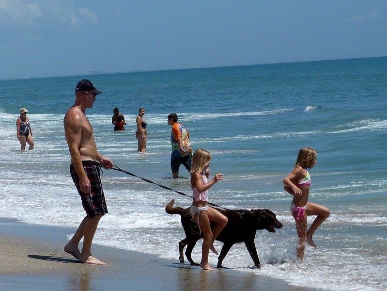 14 Mejores playas amigables para perros en Florida 11