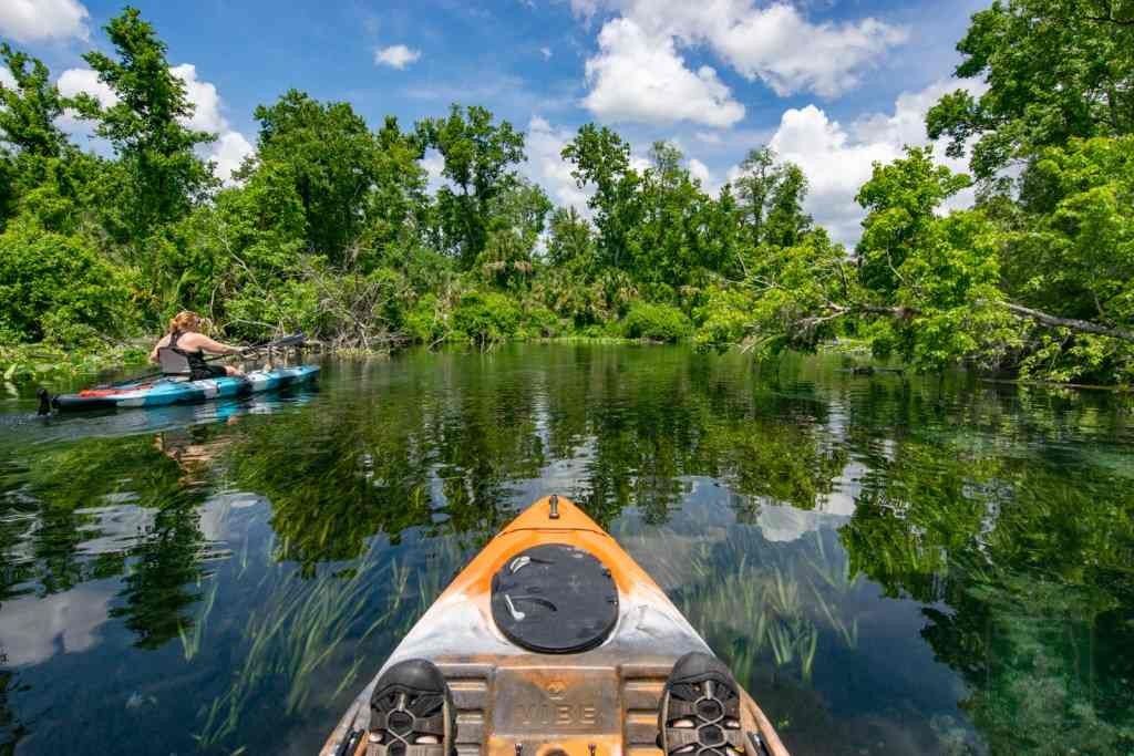 12 Mejores manantiales naturales en Florida para visitar 10