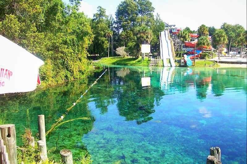 12 Mejores manantiales naturales en Florida para visitar 8