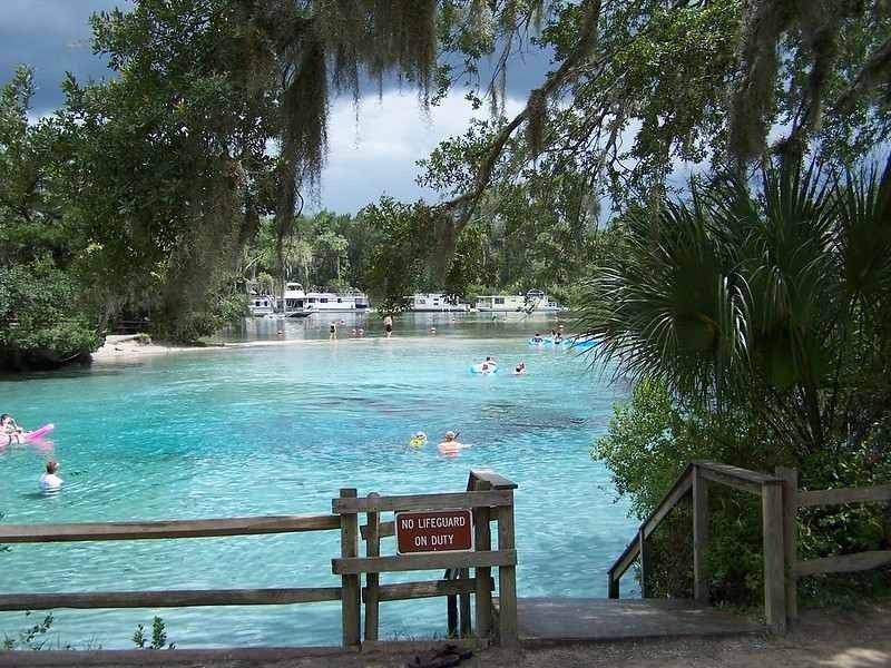12 Mejores manantiales naturales en Florida para visitar 9