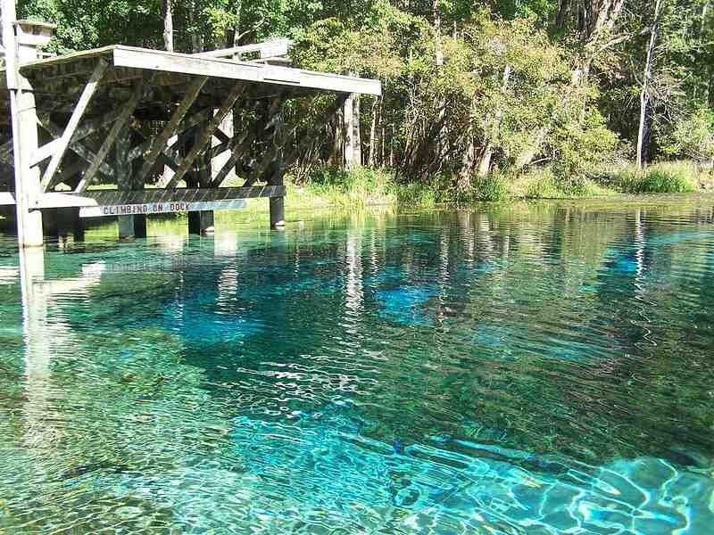 12 Mejores manantiales naturales en Florida para visitar 15