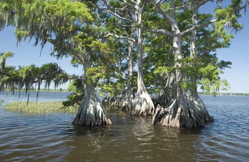 15 Mejores lagos en Florida con mapa para encontrarlos 10