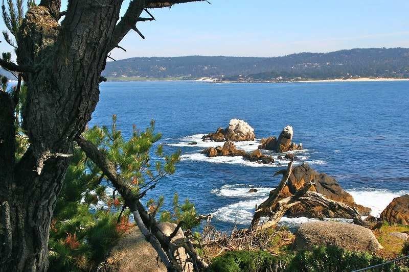 Carmel junto al mar, California: Qué ver y visitar 6