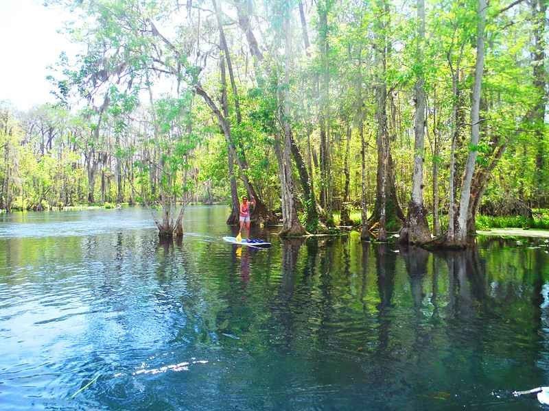 10 Manantiales naturales más bonitos cerca de Tampa que debe visitar 3
