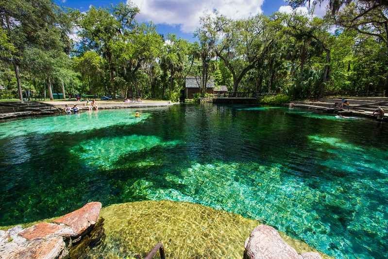 10 Manantiales naturales más bonitos cerca de Tampa que debe visitar 8