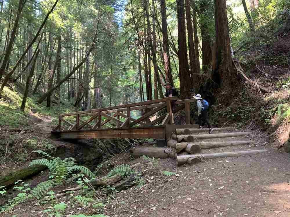 10 caminatas épicas en Santa Cruz con paisajes asombrosos 11