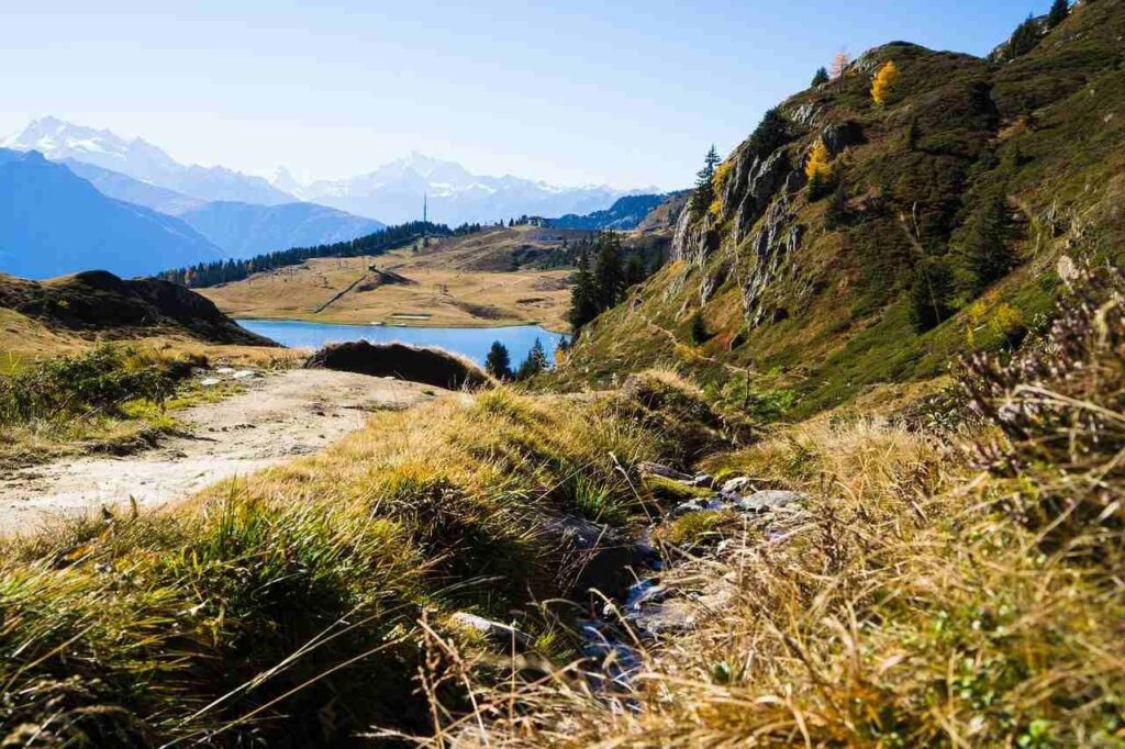 10 lugares excéntricos en Suiza 7