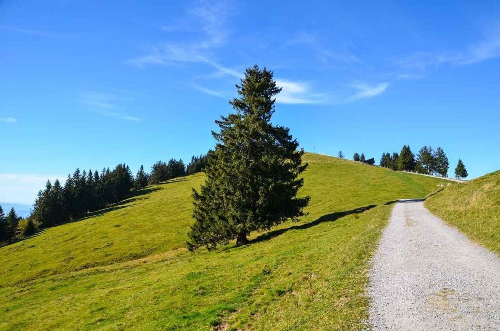 10 Mejores caminatas en Suiza: Senderismo en Suiza 7