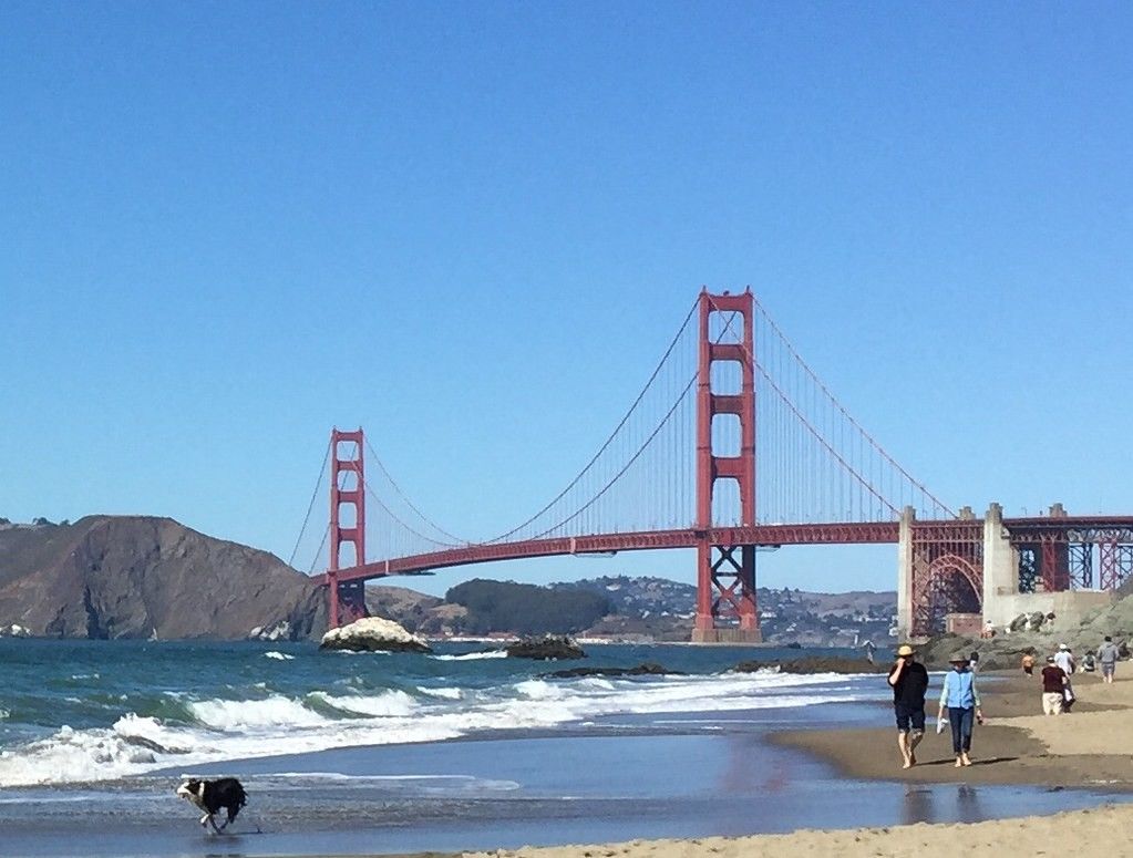 10 Mejores playas amigables para perros en California 8