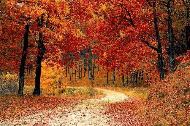 10 Mejores lugares para vacaciones de otoño en los Estados Unidos 76