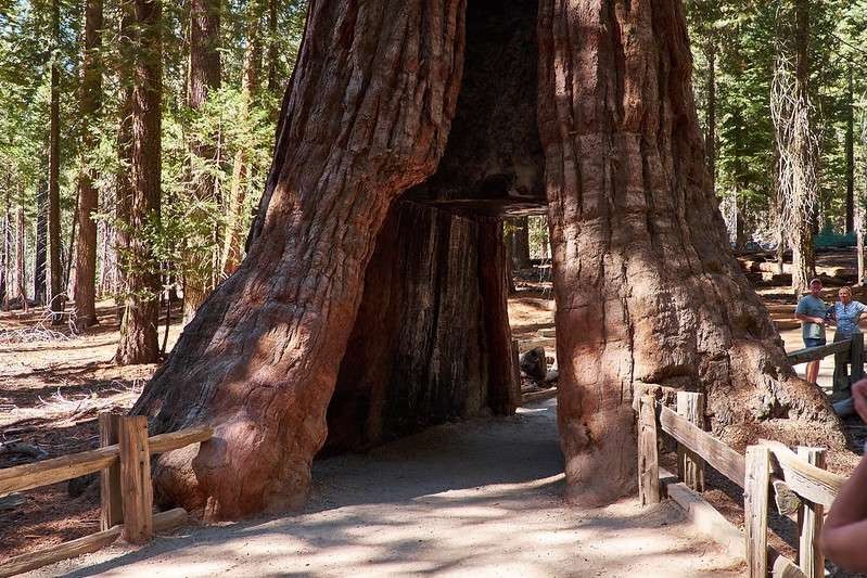 La mejor guía para un día en Yosemite con un presupuesto 7