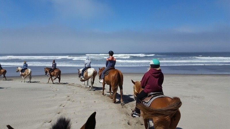 Montar a caballo en la costa del Pacífico de Oregón 6