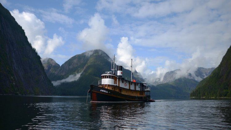 Lunas de miel en Alaska: cruceros y consejos de planificación 43