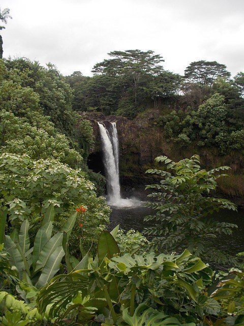 Big Island vs Kauai: ¿Qué isla debe visitar? 6