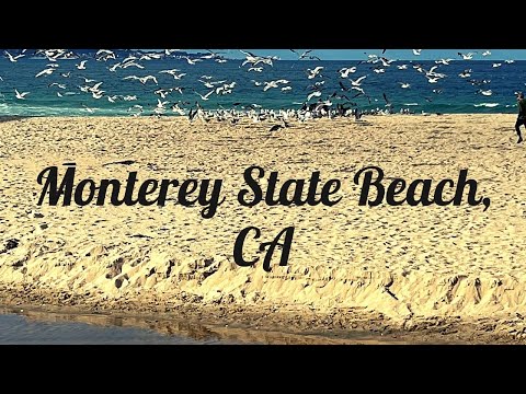 Monterey State Beach de Monterey | Horario, Mapa y entradas