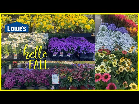 Lowe'S Garden Center de Valdosta | Horario, Mapa y entradas