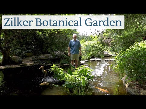 Zilker Botanical Garden de Austin | Horario, Mapa y entradas