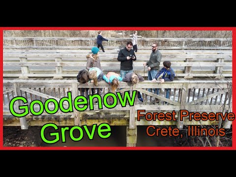 Goodenow Grove Nature Preserve de Beecher | Horario, Mapa y entradas 1