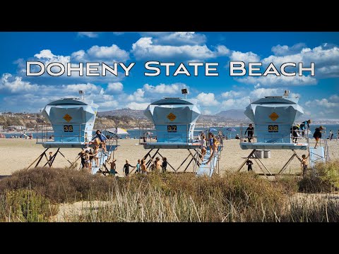 Doheny State Beach de Dana Point | Horario, Mapa y entradas