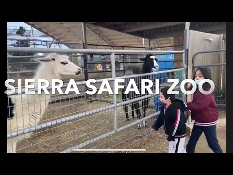Sierra Nevada Zoological Park de Reno | Horario, Mapa y entradas