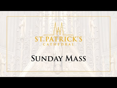 Saint Patrick Cathedral de Fort Worth | Horario, Mapa y entradas