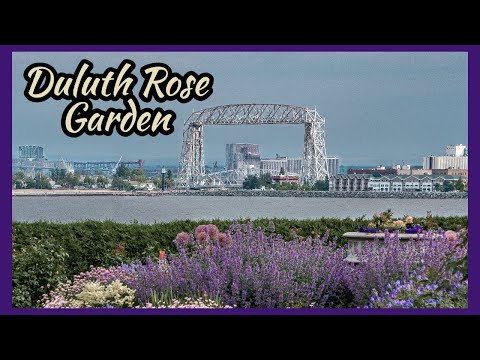 Duluth Rose Garden de Duluth | Horario, Mapa y entradas