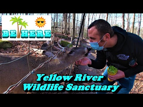 Yellow River Wildlife Sanctuary de Lilburn | Horario, Mapa y entradas