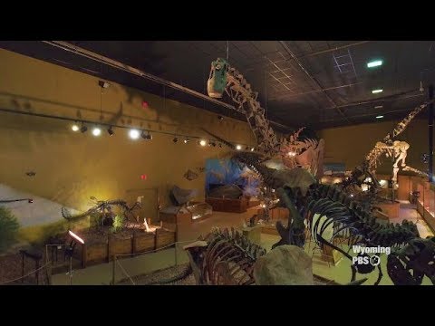 Wyoming Dinosaur Center de Thermopolis | Horario, Mapa y entradas