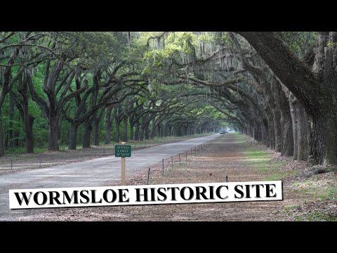 Wormsloe Historic Site de Savannah | Horario, Mapa y entradas 7