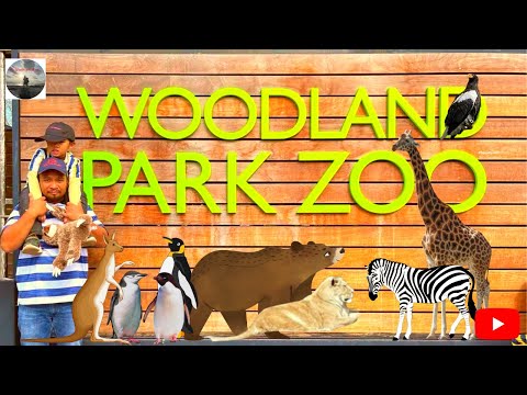 Woodland Park Zoo de Seattle | Horario, Mapa y entradas 6