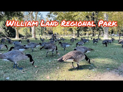 William Land Regional Park de Sacramento | Horario, Mapa y entradas