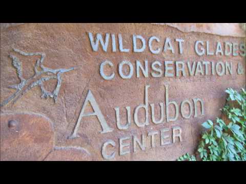 Wildcat Glades Conservation & Audubon Center de Joplin | Horario, Mapa y entradas