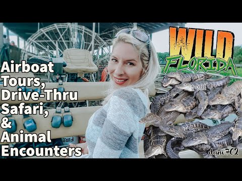 Wild Florida Airboats & Gator Park de Kenansville | Horario, Mapa y entradas