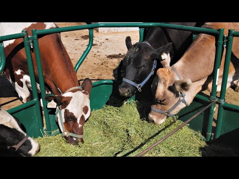 Wheeler Historic Farm de Murray | Horario, Mapa y entradas