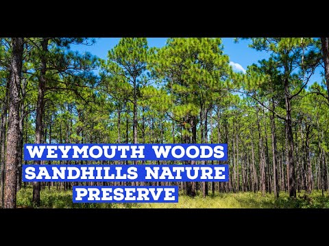 Weymouth Woods - Sandhills Nature Preserve de Southern Pines | Horario, Mapa y entradas 1