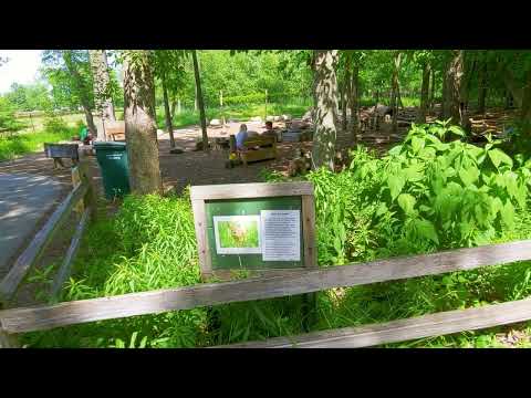 West Ridge Nature Park de Chicago | Horario, Mapa y entradas