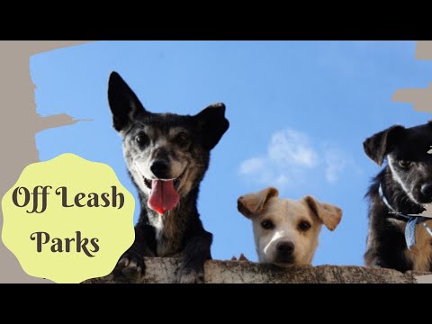 West Jordan Off-Leash Dog Park de West Jordan | Horario, Mapa y entradas