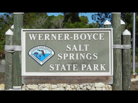 Werner-Boyce Salt Springs State Park de Port Richey | Horario, Mapa y entradas