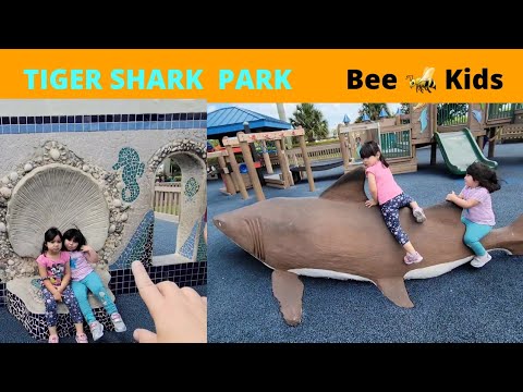 Tiger Shark Cove Park de Wellington | Horario, Mapa y entradas 4