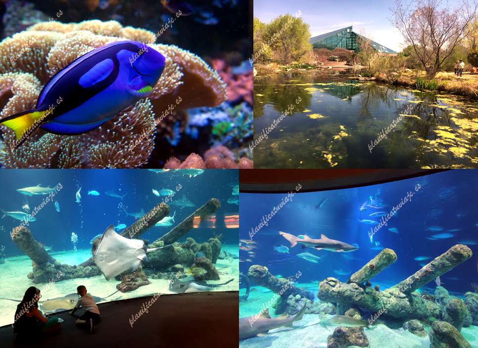 Abq Biopark Aquarium de Albuquerque | Horario, Mapa y entradas 1