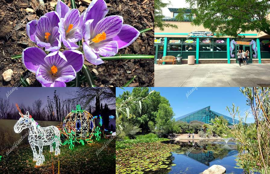 ABQ BioPark - Botanic Garden de Albuquerque | Horario, Mapa y entradas 8