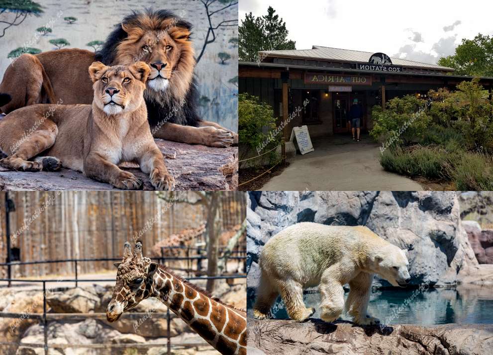 Abq Biopark de Albuquerque | Horario, Mapa y entradas
