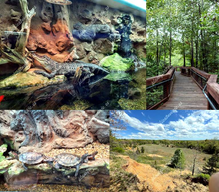 AGFC Forrest L. Wood Crowley's Ridge Nature Center de Jonesboro | Horario, Mapa y entradas 1