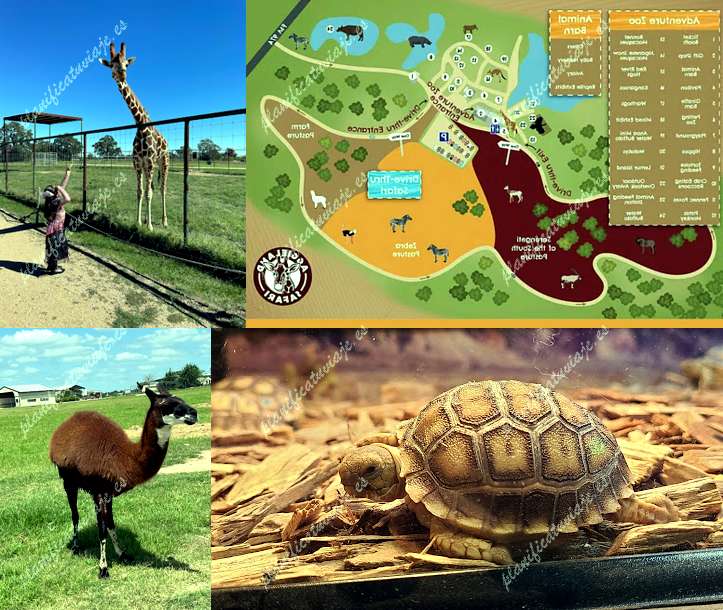 Aggieland Wild Animal Safari de Bryan | Horario, Mapa y entradas