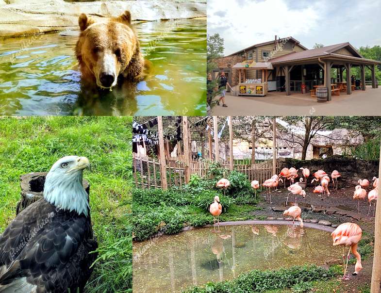 Akron Zoo de Akron | Horario, Mapa y entradas