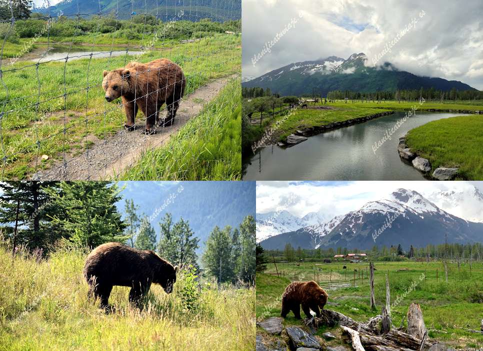 Alaska Wildlife Conservation Center de Girdwood | Horario, Mapa y entradas