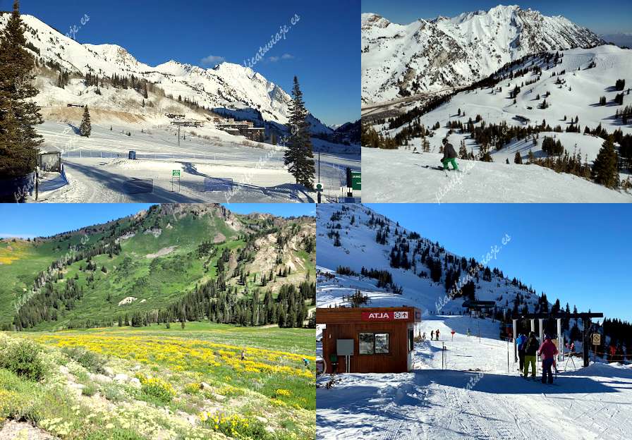 Alta Ski Area de Alta | Horario, Mapa y entradas