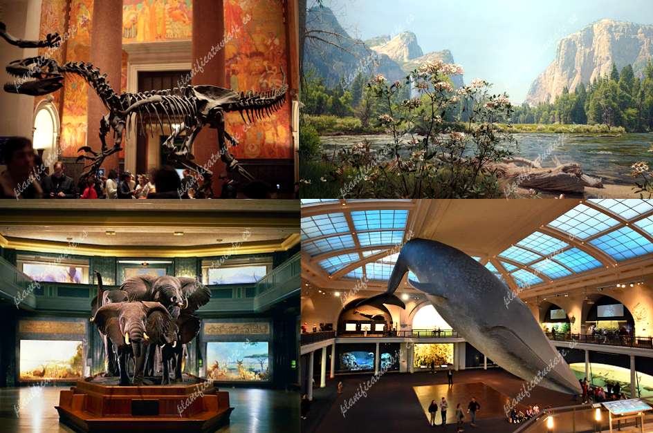 American Museum of Natural History de New York | Horario, Mapa y entradas