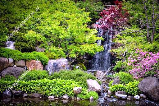 Anderson Japanese Gardens de Rockford | Horario, Mapa y entradas 1