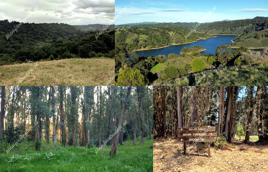 Anthony Chabot Regional Park de Castro Valley | Horario, Mapa y entradas